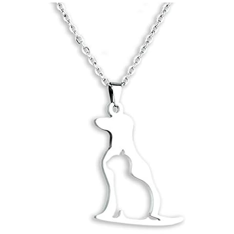 Kivosliviz Cat and Dog Lovers Gifts Dog Lovers Necklace Pet Lovers Gifts for Women Cat and Dog Necklace Cover