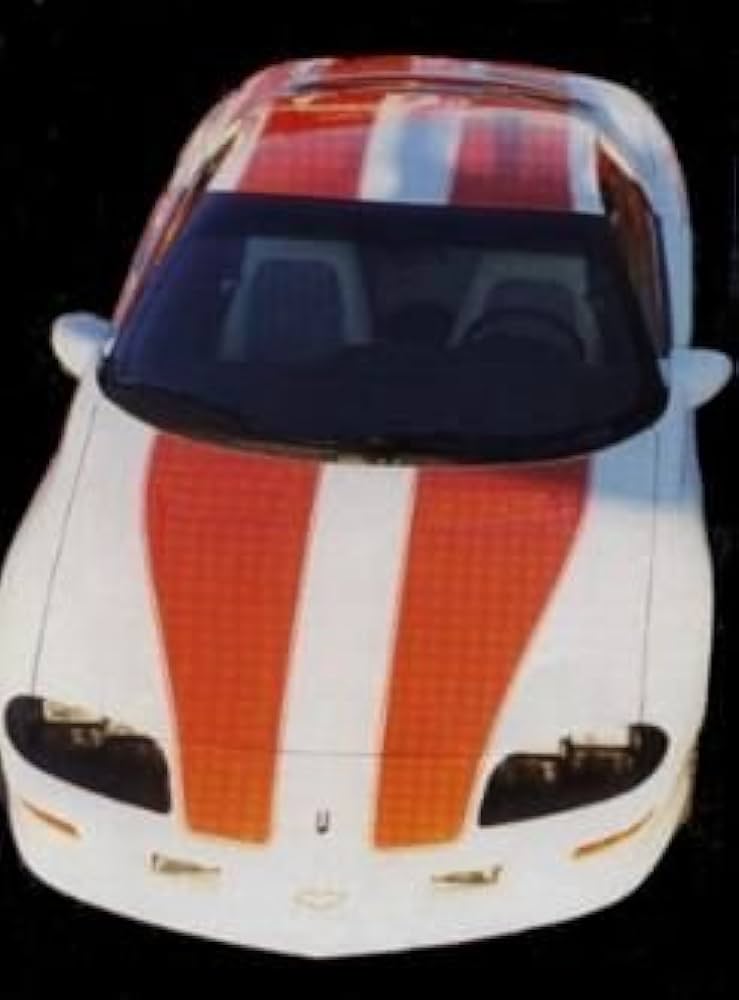Amazon.com: Camaro Phoenix Graphix Replacement for 1998 1999