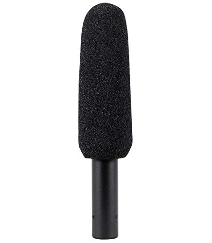 Audio-Technica (2) At875R Shotgun Condenser Microphones Ideal For Video Production And Broadcast Audio Acquisition #TOP6