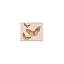From the Vault Butterfly