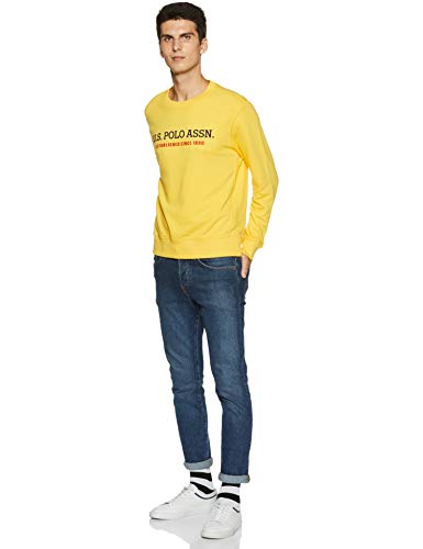 Image of U.S. POLO ASSN. Men Knitwear