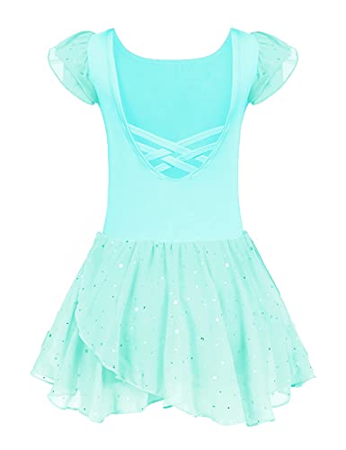 Image of Arshiner Girls Ruffle Sleeve Ballet Dance Dress Tutu Skirted Leotard