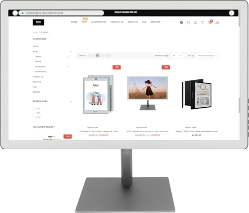 Bigme B251 カラー電子ペーパーディスプレイ 31HJYRf7-pL.jpg