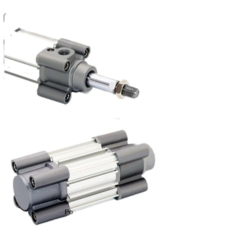 Vérin pneumatique standard CP96SDB piston double effet alésage 100mm course 100