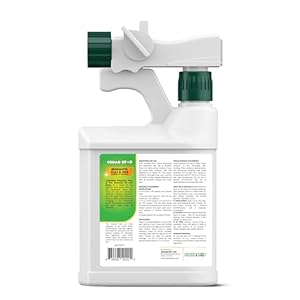 32 Ounce Essential Oil Yard Spray Plant Based Flea Tick and Mosquito Repellent Pest Control Spray Treatment and Insect Killer Safe Around Kids Pets and Plants Cucciolini Doodles 32 ounce essential oil yard spray plant based flea tick and mosquito repellent pest control spray treatment and insect killer safe around kids pets and plants cucciolini doodles