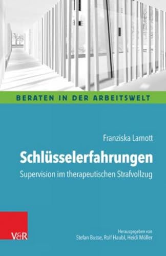 Schlüsselerfahrungen: Supervision im therapeutischen Strafvollzug (Beraten in der Arbeitswelt)