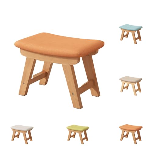 LIVIA{ł̋V{̍sAG̎アlɓK (IW)