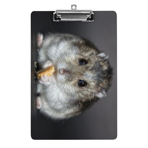 Nbv{[h A4 c^ 킢 nX^[ t@C{[h Ǌ|  ₷ v{[h Ď^т₷  [ cpbh pi  wZ ƒpoC_[