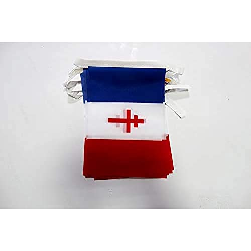 Image of AZ FLAG Free France 1940-1944 6 meters BUNTING Flag 20 flags 9'' x 6'' - French resistance - France Libre STRING flags 15 x 21 cm