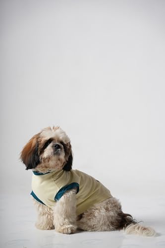 Image of Thunder Tails Premium Cotton Dog T-Shirt | Adjustable Neck | for Medium Dogs | Butter Yellow | X Large | for French Bull Dog