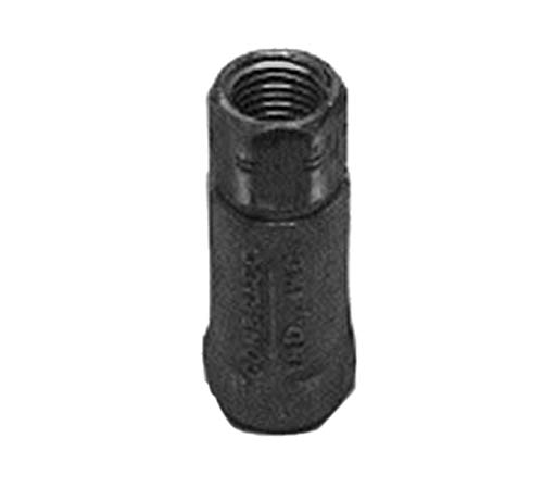 T&S Brass B-CVH3-4 Válvula de retención, NPT hembra de 3/4 pulgadas, horizontal