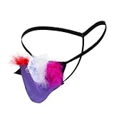 DLSNZ Men's G-String Exotic Underwear Sexy Costume Christmas Halloween Funny T-Back Mankini Thong Mesh Joke Gag Prank Gifts (US, Alpha, One Size, Regular, Regular, Bird Purple)