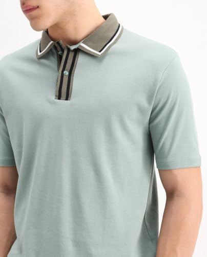 Image of Rare Rabbit Regular fit Plain Polo