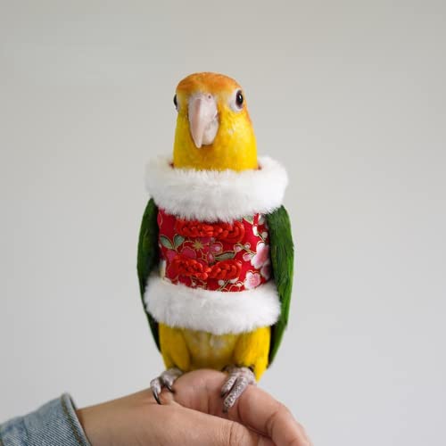 Image of Bird Costume Flight Suit Clothes Cosplay Photo Prop for Parrots Parakeet Cockatiel Sun Conure, Hoodie Small Animals Apparel (Red, Small), Green