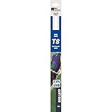 seletti bird lamp usa 600mm - 18W Bird Systems 317006 Bird Lamp 2.4%, 600 mm, 18 W