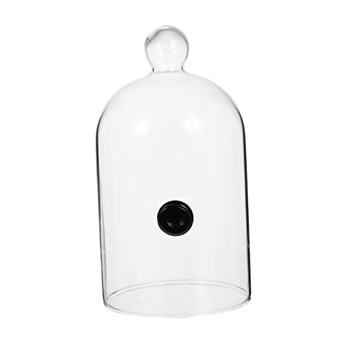 1 Pc Campana Extractora De Vidrio