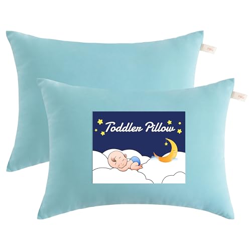 NTBAY Toddler Pillows, Set of 2, 13"x18", Aqua