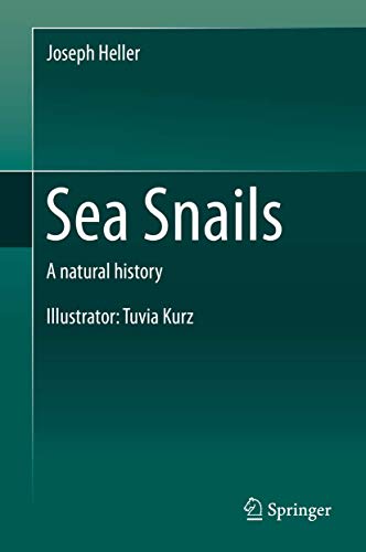 Sea Snails view 2