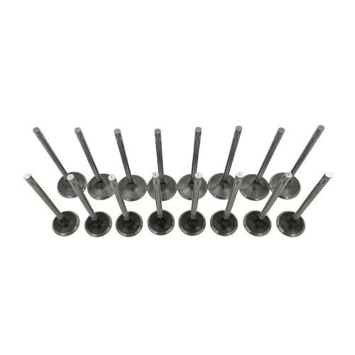 Lskioer S3.QMTJ02.H-WYY Engine Intake & Exhaust Valves Kit thumb #5