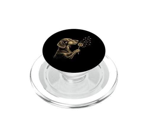 Soporte MagSafe de Perro Salchicha Regalo Original Mascotas
