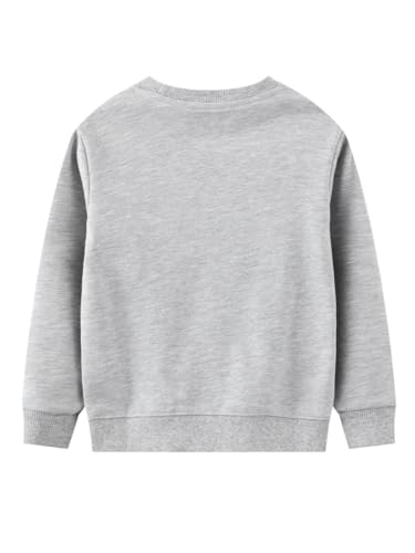 Boys Sweatshirts Casual Sweatshirts Cotton Sweatshirts Long Sleeve T-shirts Crew Neck Cartoon Tops for Boys-7572