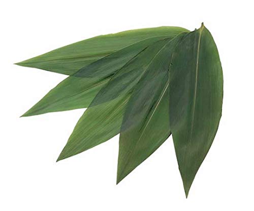 AY O(200)90×320/61-6738-77