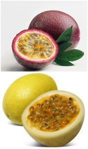 Creative Farmer Fruit Seeds : Mixed Passion Fruit - Exotic Seeds Fast Fruiting Plant Seeds Fruit Seeds Kitchen Garden Pack (B075PW7H1F) Amazon Price History, Amazon Price Tracker