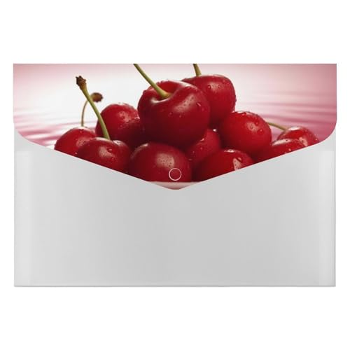 Dossier extensible à 6 poches format A4 à motif cerises pour factures