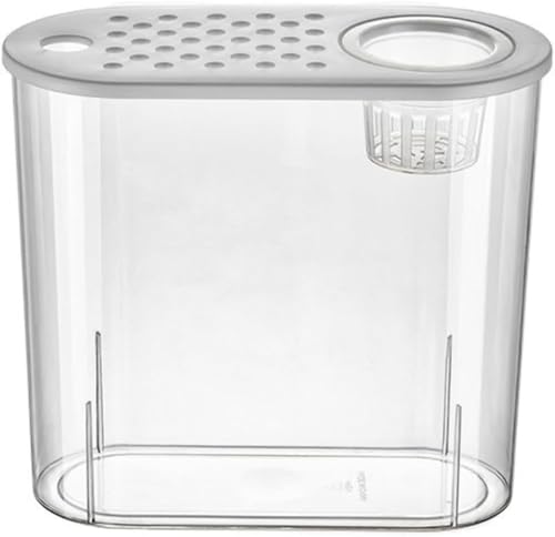 , KX, ϗtA, e, 㐅, e, ȓԕr (͔| zCg)