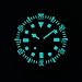 watchdives Reloj de Buceo EXD de Titanio de 40 mm Imagen de watchdives Reloj de Buceo EXD de Titanio de 40 mm