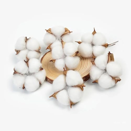 10 piezas de algodón seco artificial para decoración y manualidades miniatura 3