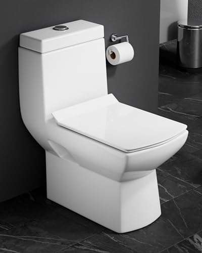 Clay Plus One Piece Western Premium Grade Floor Mount Toilet Commode with Anti-Bacterial Protection for Bathroom/Hospital/Cinema - S Trap Outlet/ 240mm/ 9.5 Inch with Slow Motion