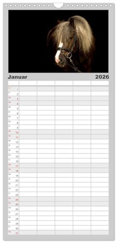 Familienplaner 2026 - Faszination und Vielfalt - Schwarzwälder Kaltblut mit 5 Spalten (Wandkalender, 21 cm x 45 cm), CALVENDO: Kraftvoll, elegant, ... Pferd durch das Jahr (CALVENDO Tiere)