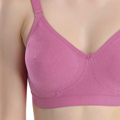 Image of Extra Comfort Non Padded Non Wire Bra for Everyday Combo Pack of 3