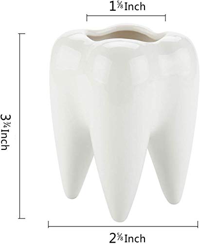 Pot à crayons forme de dent en céramique, cadeau idéal pour dentiste et secrétaire