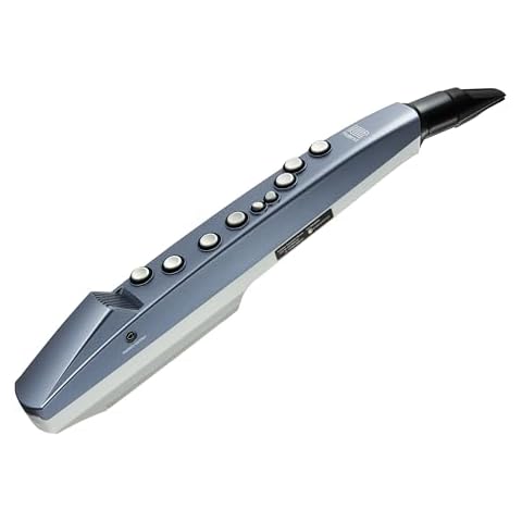 Roland Ae-01 Aerophone Mini Digital Wind Instrument Cover