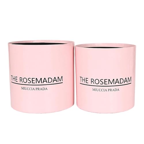 Loigohon Ehu[P{bNX  16-17cm ? t[AWgpDIYMtg{bNX ԉ p[eB[fBXvCp z[fR[VɍœK (sN)