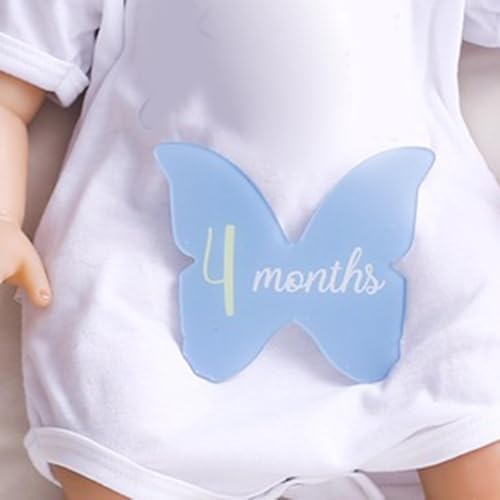 Cartões do mês, discos marcadores mensais,Sinal acrílico do anúncio do bebê | Cartões e discos mensa