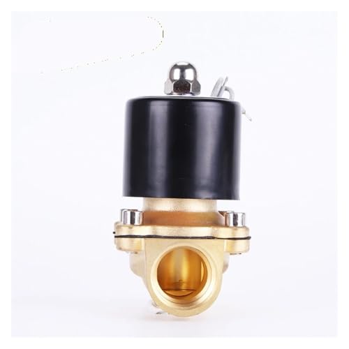Électrovanne laiton 220V DN20 électrovanne eau air huile 2W200-20