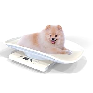 Digital Puppy Scale, Cat Whelping Scale, Multifunction Kitten Digital Weighing with Height Measure Accurately, Removable Tray and LED Display, for Small Pet/Kitty/Hamster/Hedgehog/Food