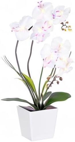 HOMESEASONS Orchid Lamp-LED Lighted Orchid Arrangements,Pre Lit Artificial Orchid,Light Up Flower Lights, Faux Orchid Phalaenopsis Arrangement (White) - Image 8