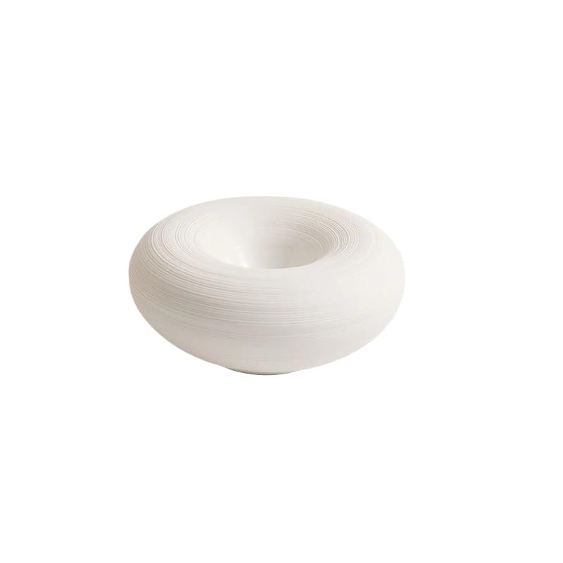loeusjfnr Platos De Pasta platear Aislante, for Servir, de Sopa Circular Grueso cerámica, for Aperitivos, for salmón, vajilla Restaurante(B 6.5inch)