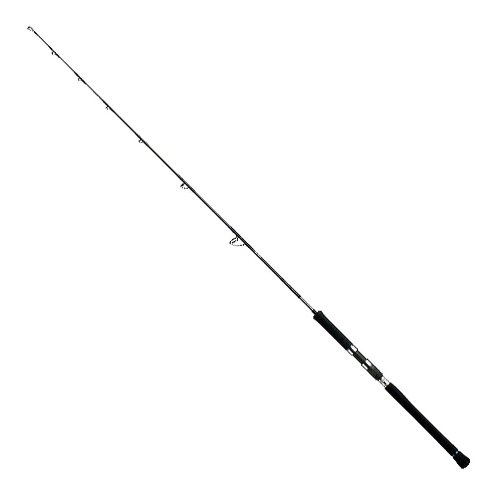 Daiwa Catalina JIGGING HIRAMASA 60S PLAT/daiwa catalina sj 60b 4