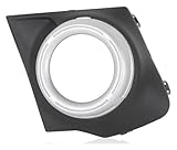 Protégez les feux antibrouillard de votre véhicule grâce à ces grilles de protection pour pare-chocs avant qui les préservent des projections de la route et des intempéries. Leur construction robuste maintient les enjoliveurs des feux antibrouillard intacts et leur confère une allure impeccable.