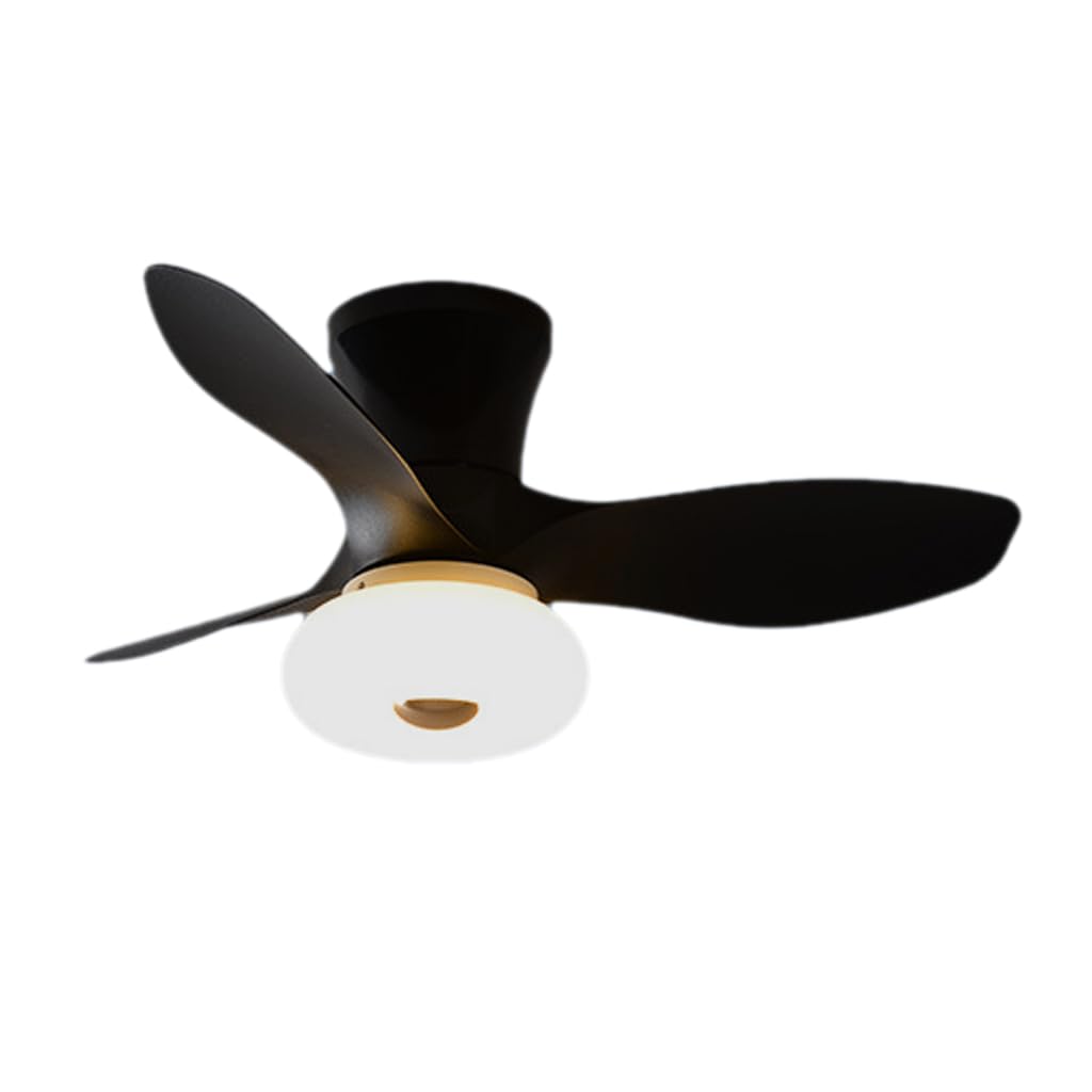 HXYSXHJUO Fan Light Ceiling Electric