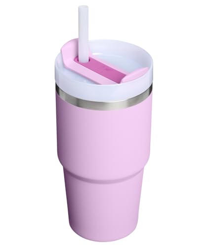 Image of STANLEY Quencher H2.0 Tumbler with Handle and Straw 20 oz | Flowstate 3-Position Lid | Cup Holder Compatible for Travel | Insulated Stainless Steel Cup | BPA-Free | Soft Orchid