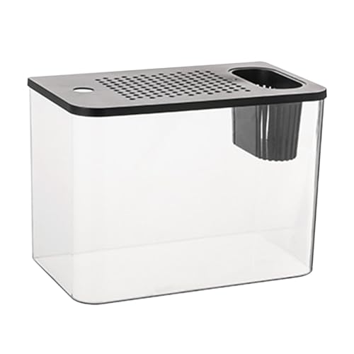 Aquarium de bureau compact pour poisson Betta et décor de table de salon - 2