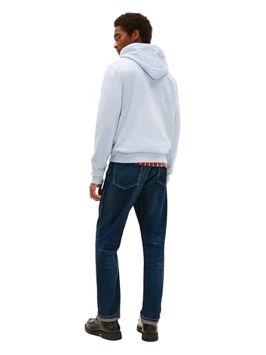 Image of Tommy Hilfiger Men's THD Hoodie Sweatshirt