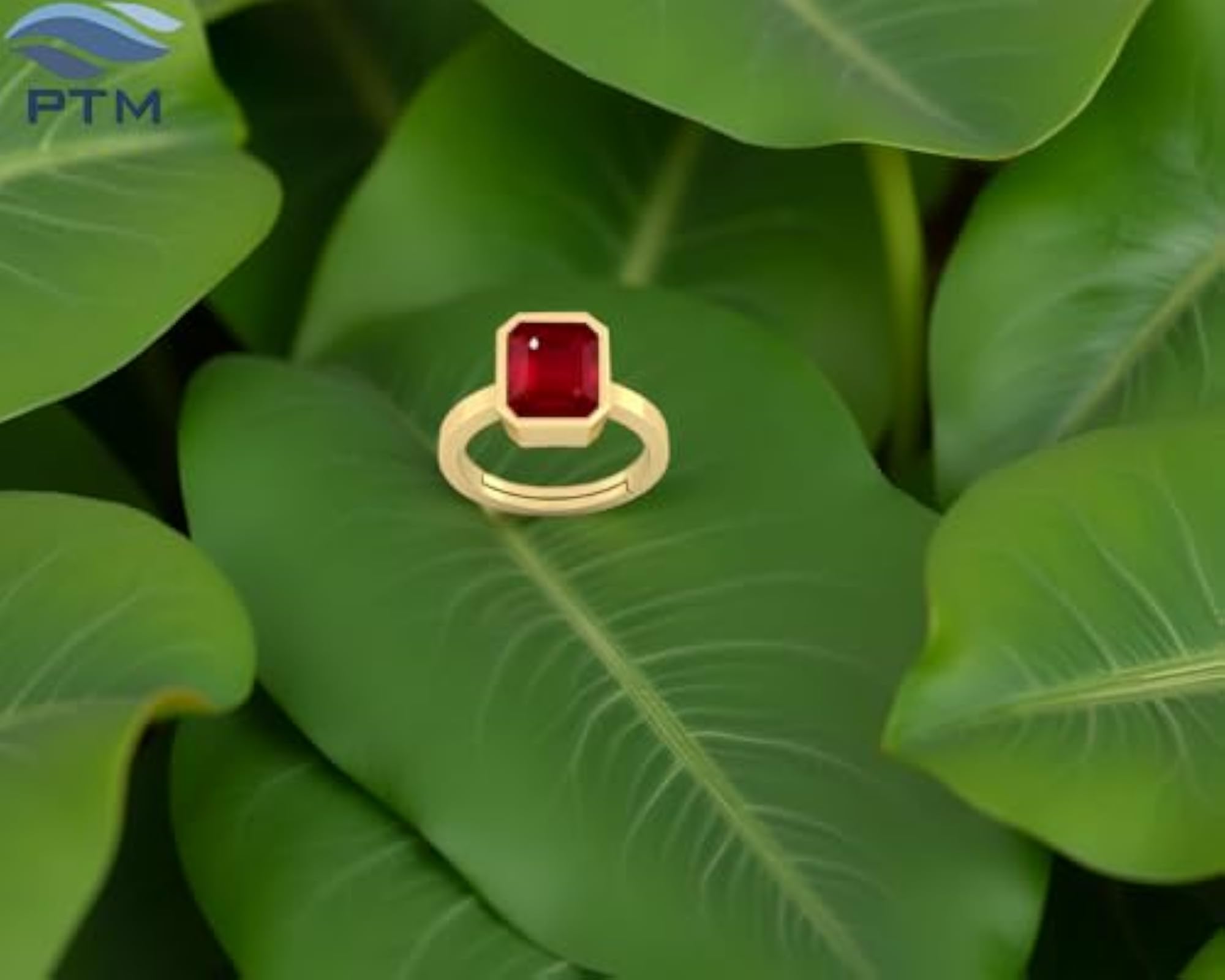 Unisex 5.25 Ratti Natural Ruby Panchdhatu Adjustable Ring