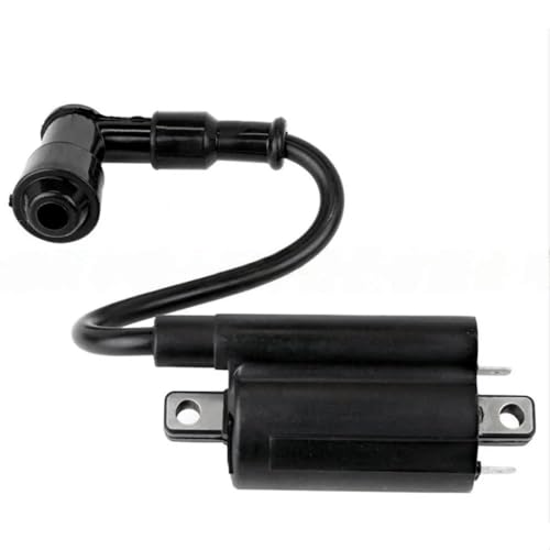 Système d'ignition de charbon pour tracteurs GAS260 2653 285